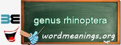 WordMeaning blackboard for genus rhinoptera